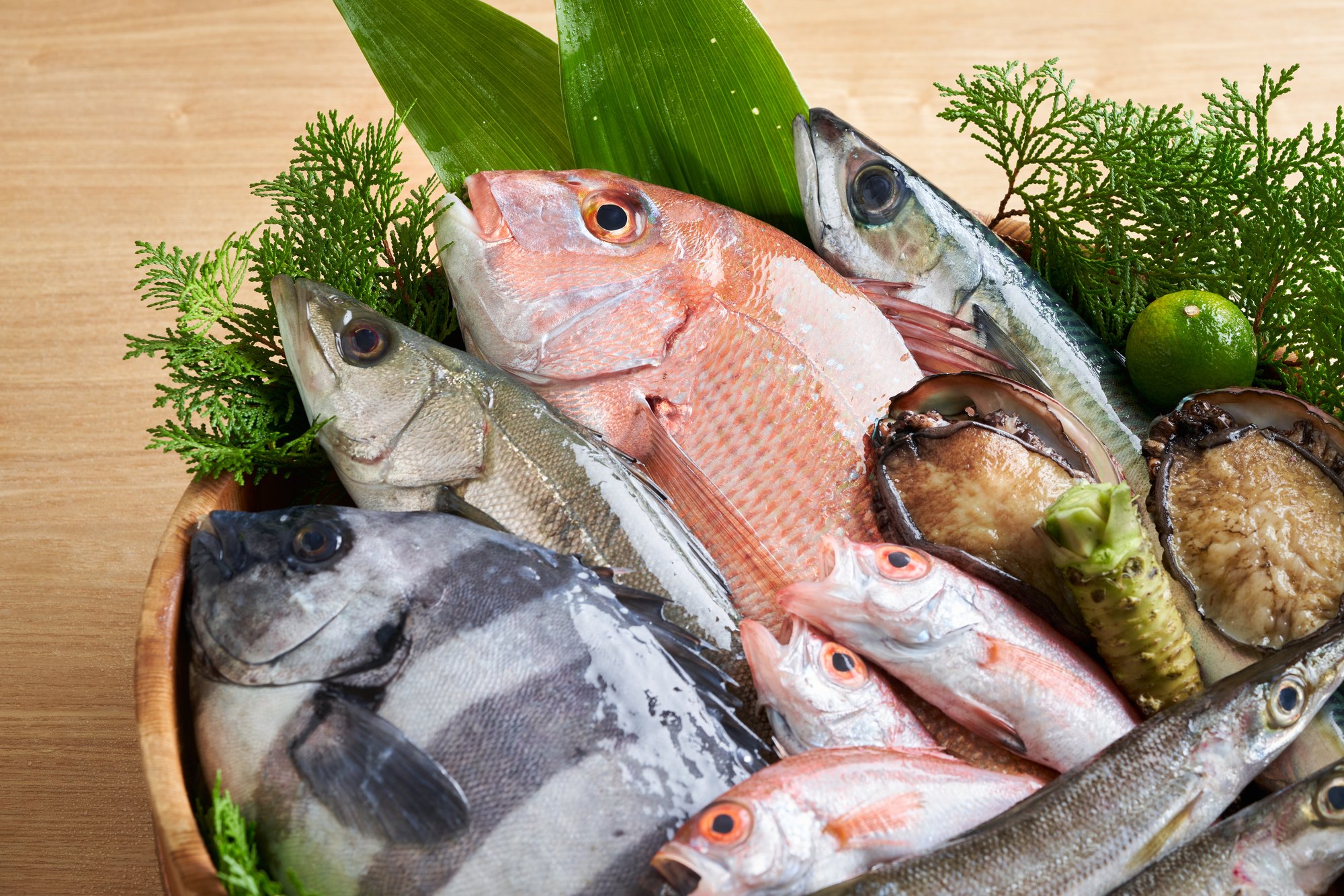 観世水 鮮魚の盛り合わせ