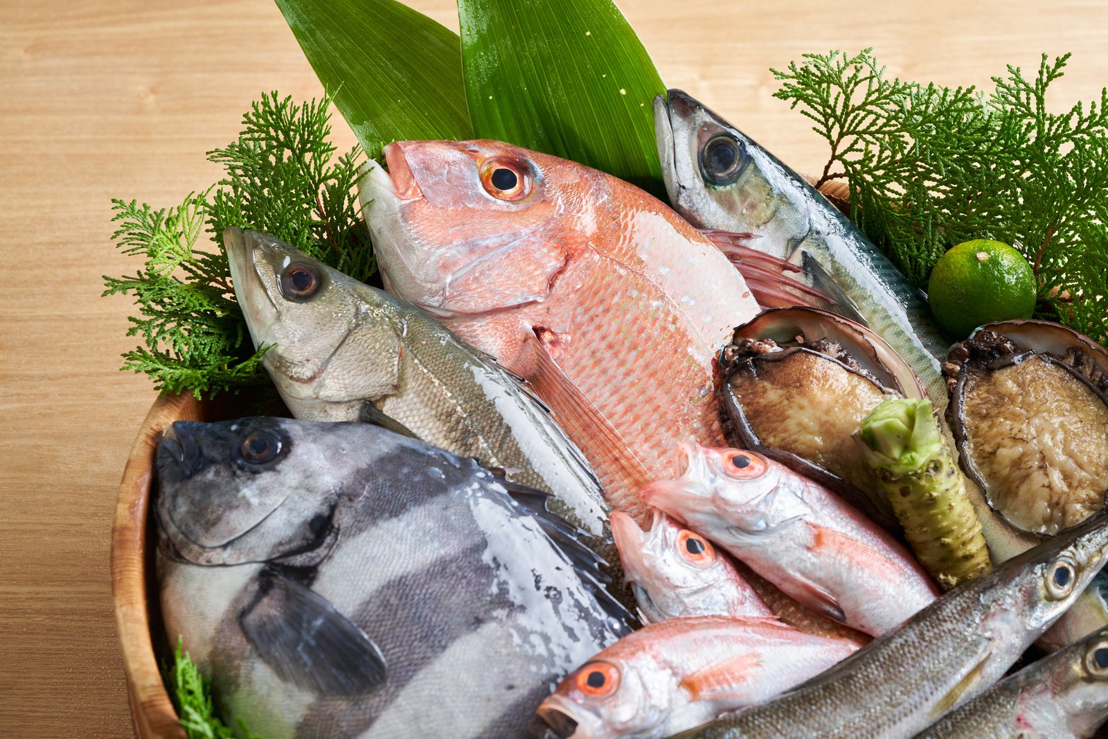 観世水 鮮魚の盛り合わせ
